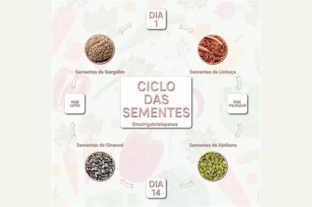 Equilíbrio hormonal feminino – CICLO DAS SEMENTES